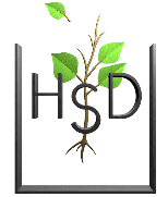 HSD logo